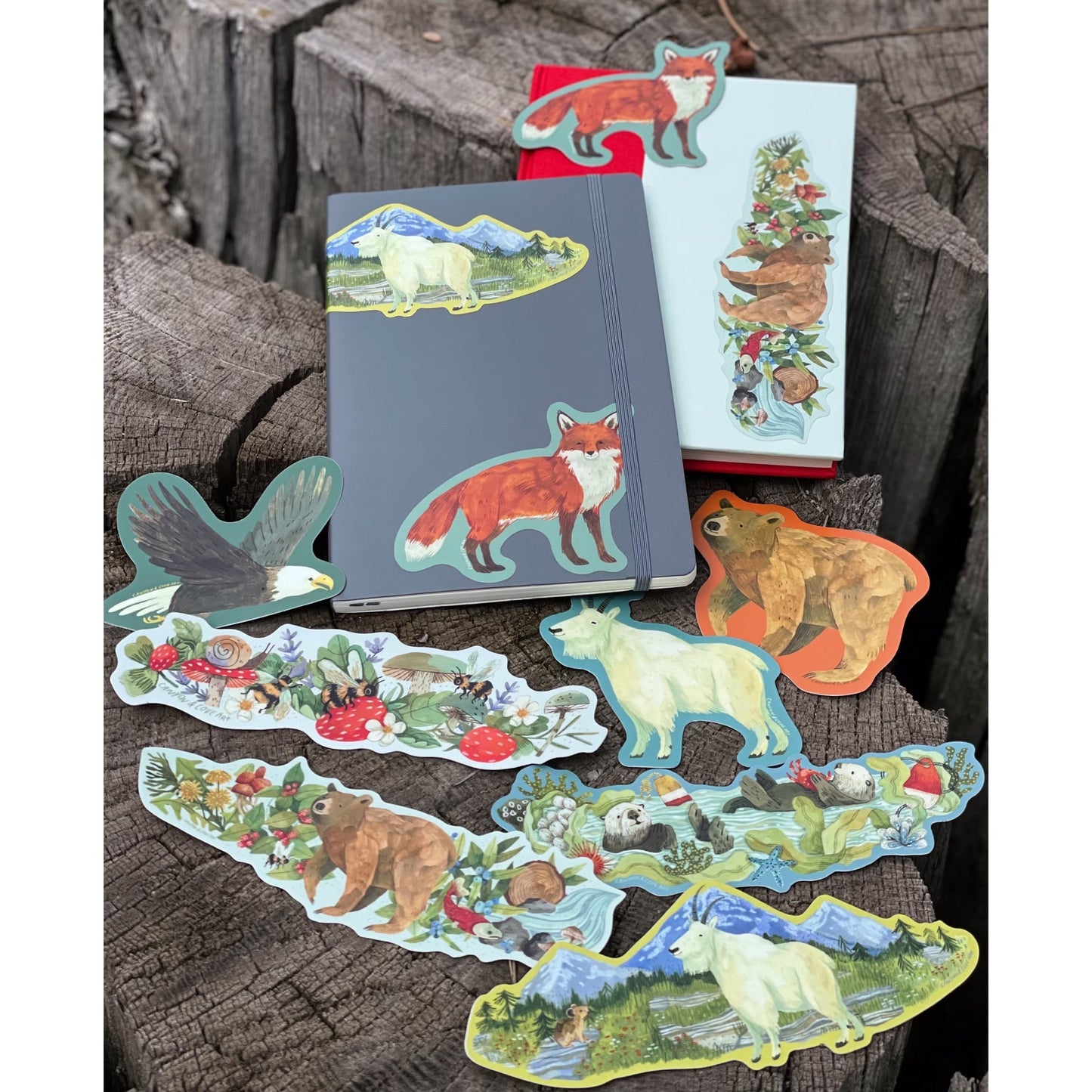 Orca Pod Wrap Sticker