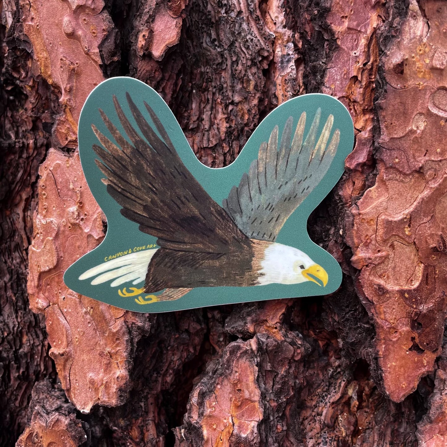 Bald Eagle Sticker