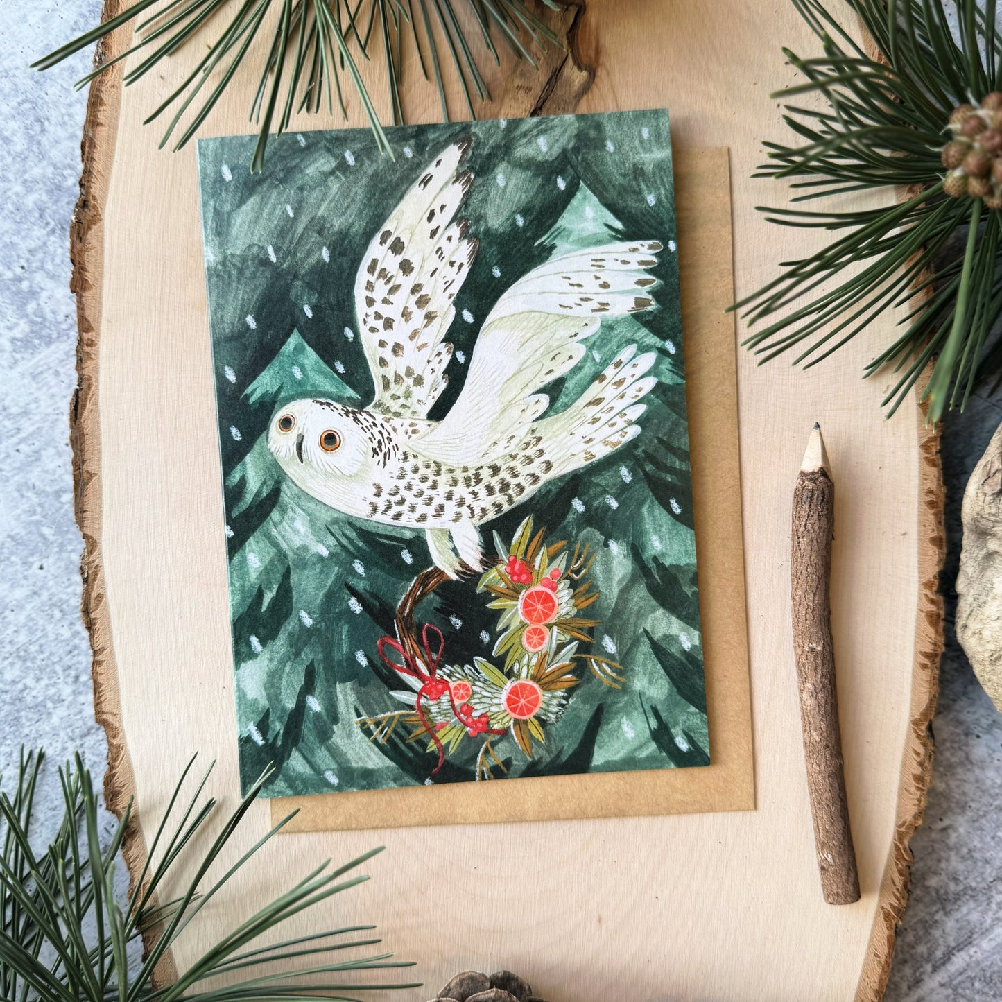 Festive Owl Cards (Boxed Card Set)