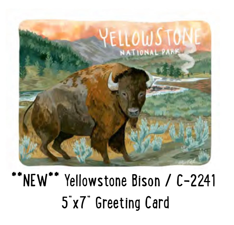 Yellowstone Bison Card – Canyon & Cove