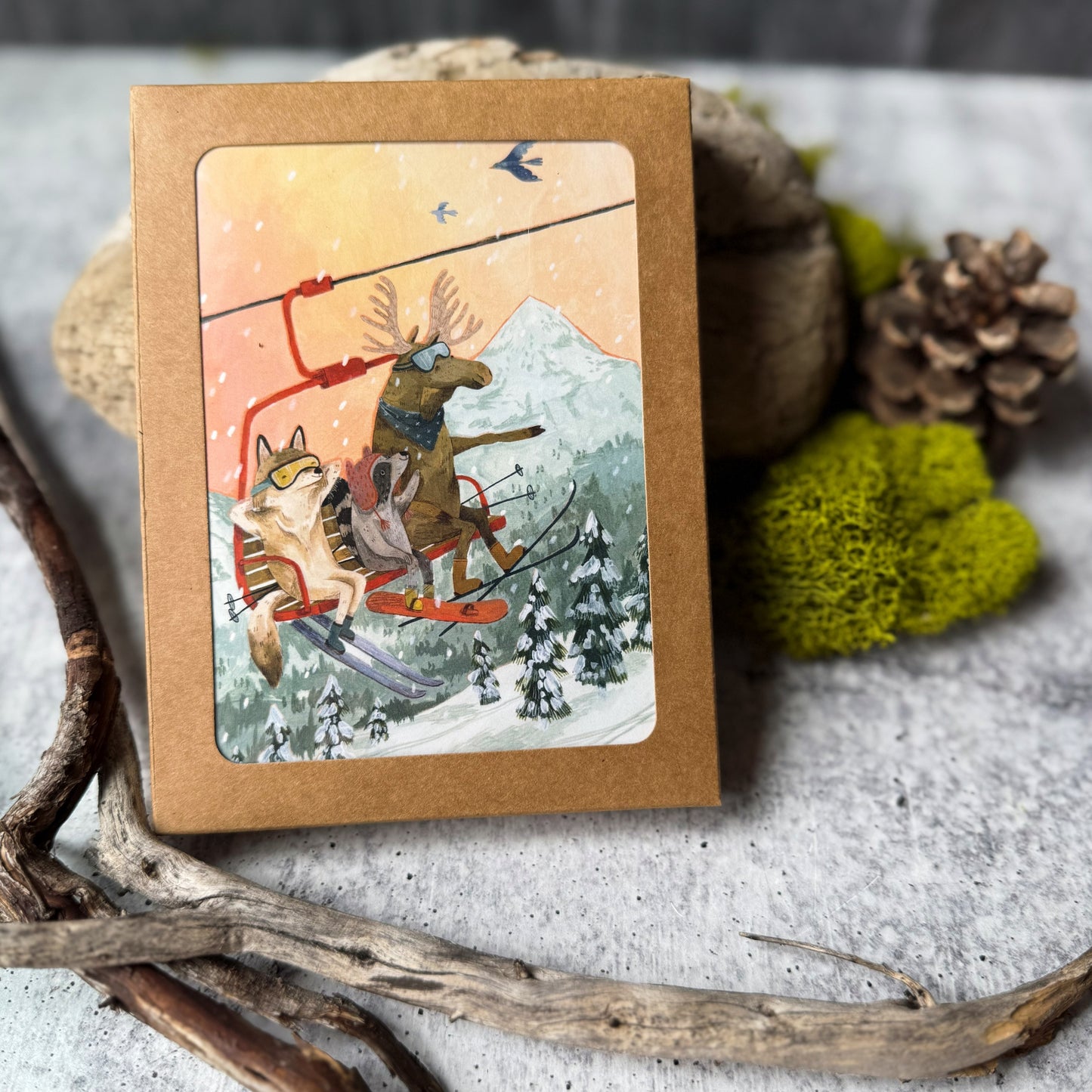 Sunset Ski Cards (Boxed Card Set)