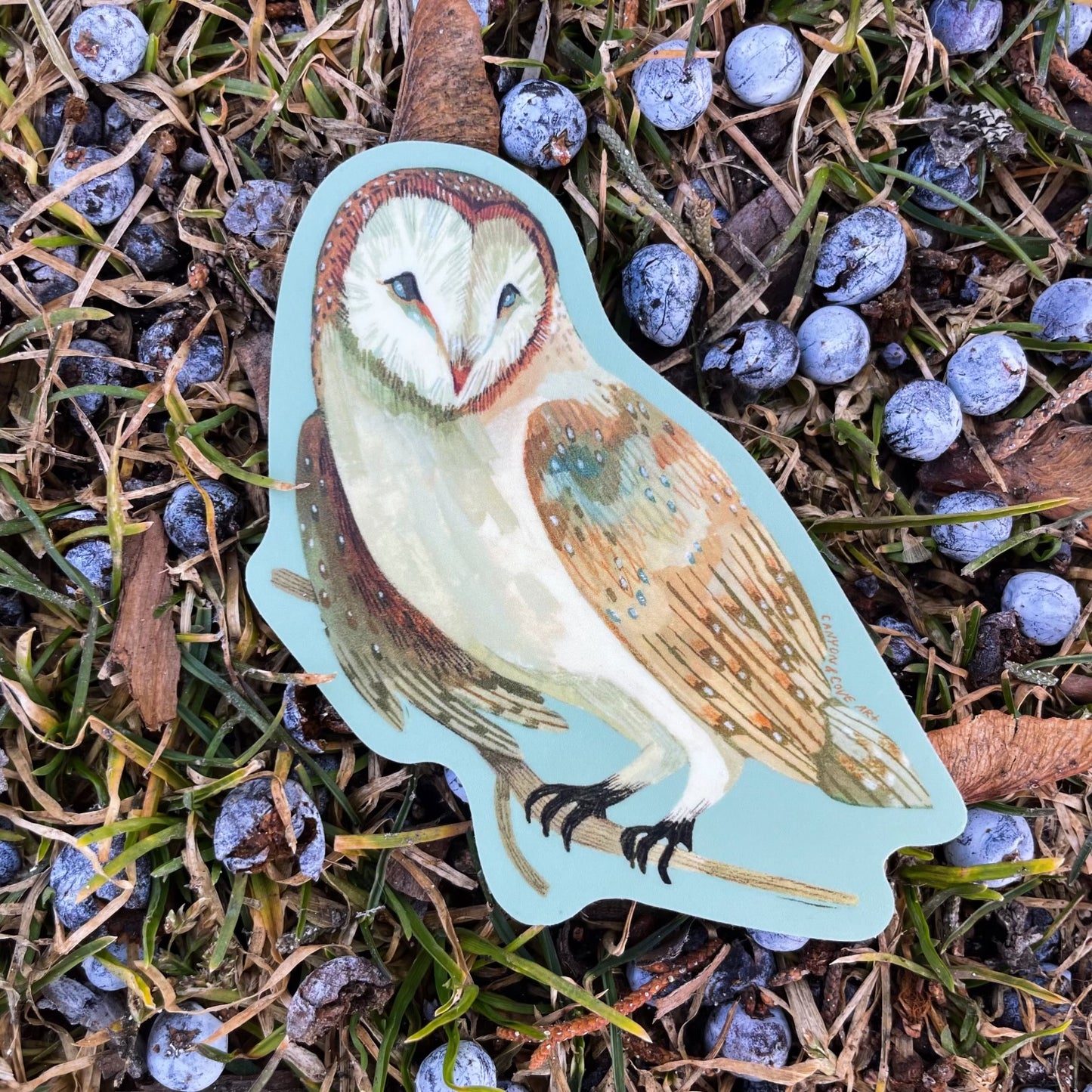 Forest Barn Owl Sticker