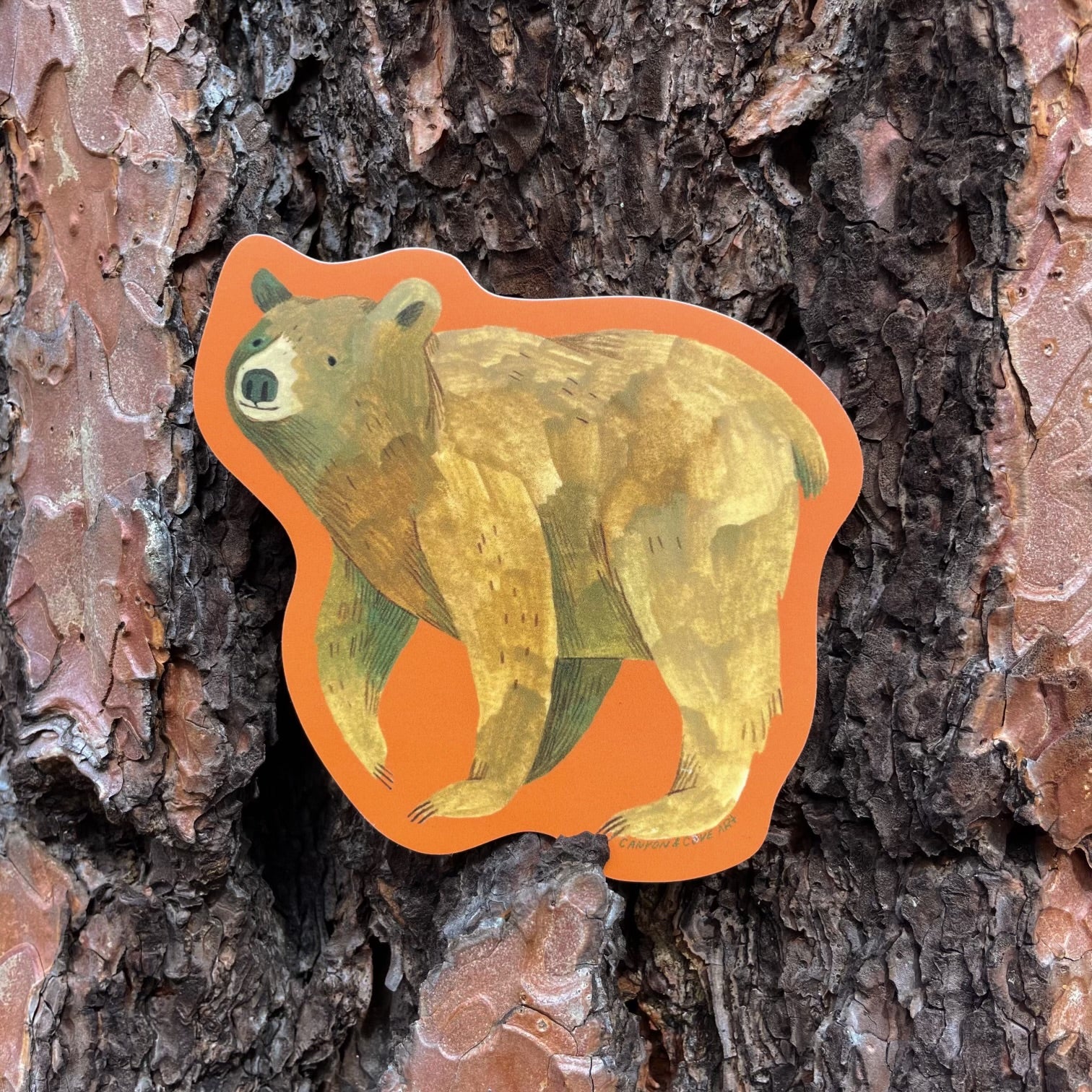 Real Bear Sticker Grizzly Bear Sticker – Canyon & Cove Art