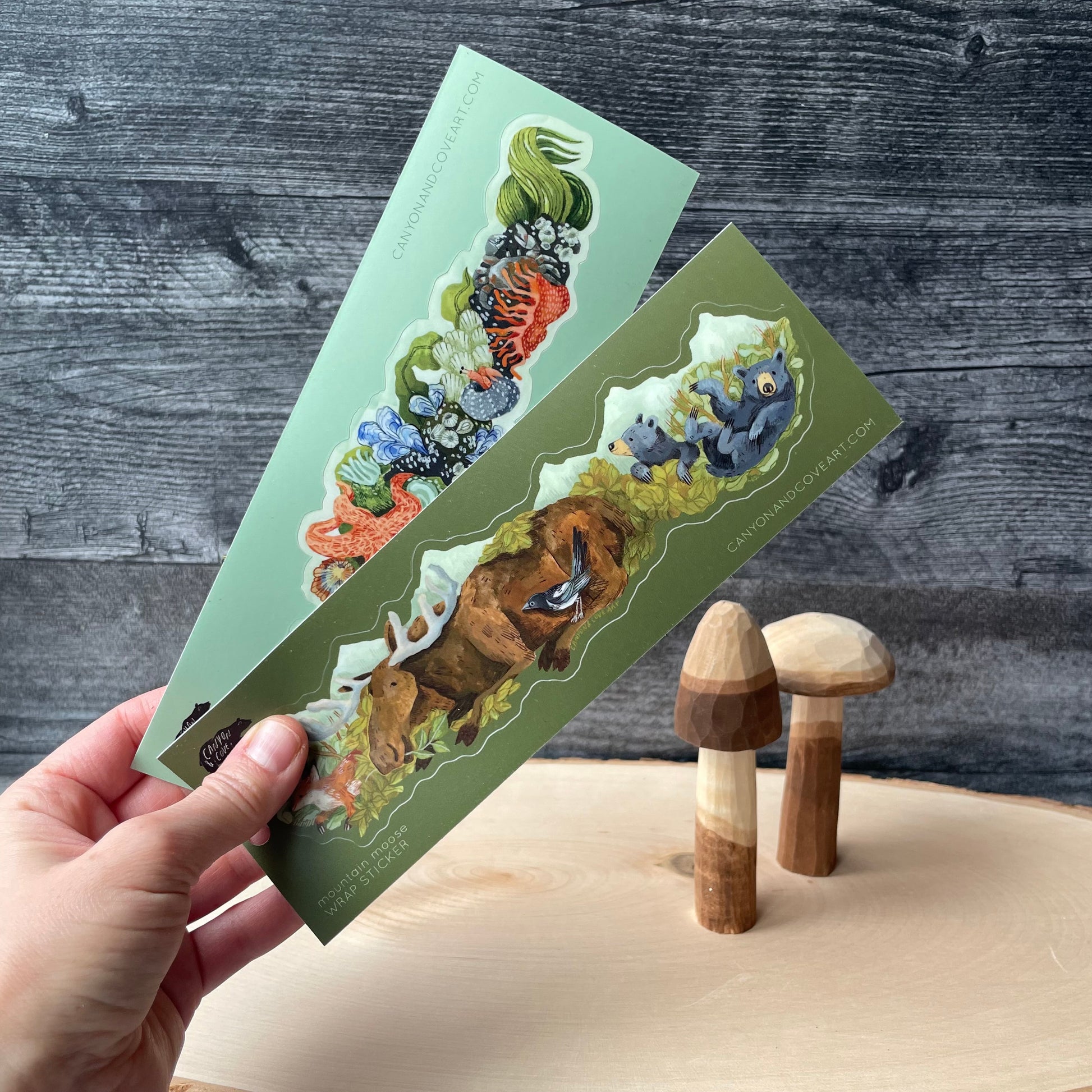 Tide Pool Wrap Sticker – Canyon & Cove Art