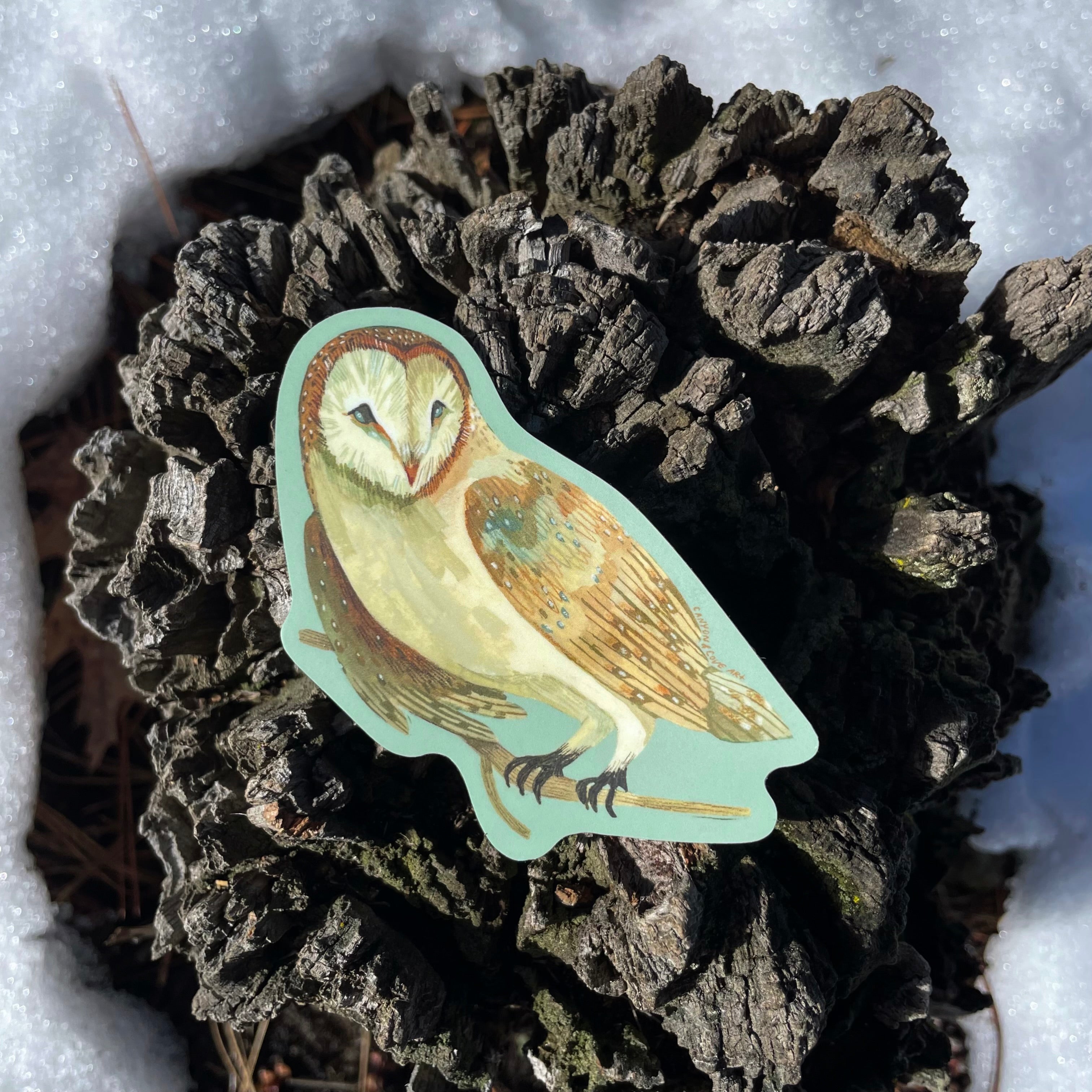 Forest Barn Owl Sticker