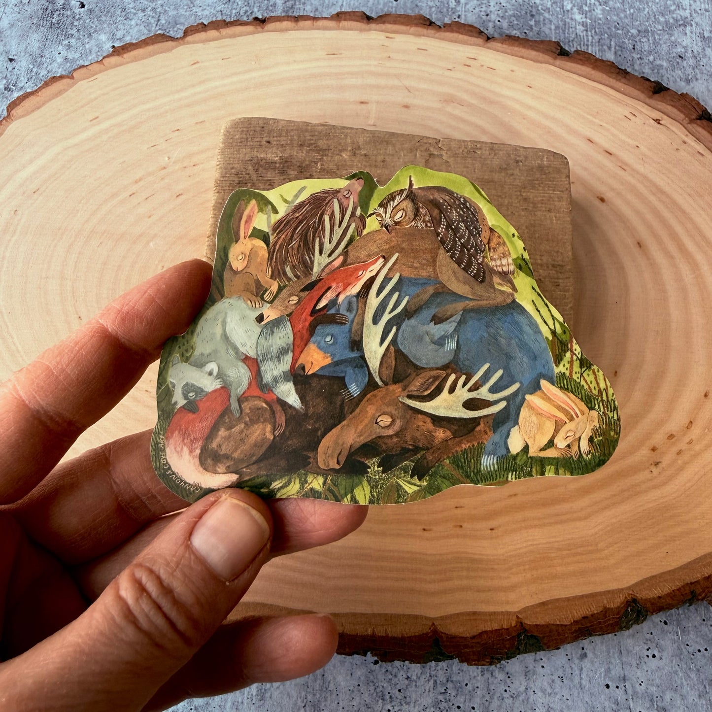 Sleeping Forest Sticker