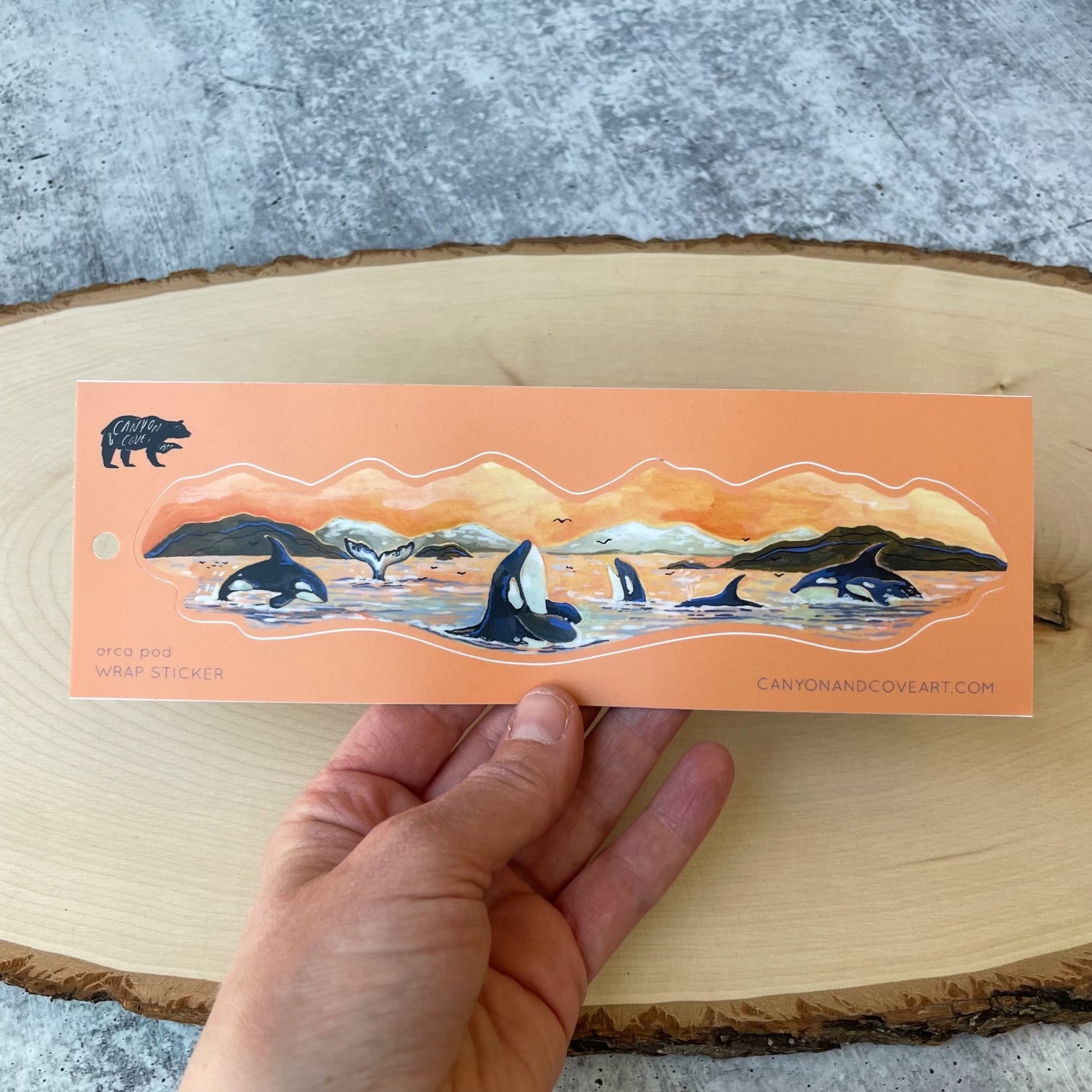 Orca Pod Wrap Sticker