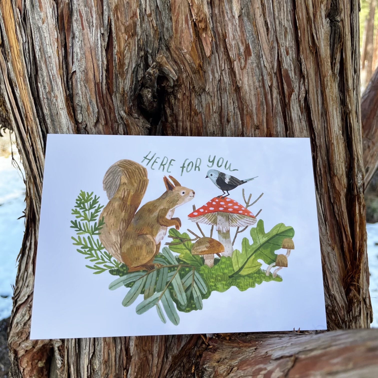 Forage Squirrel Card