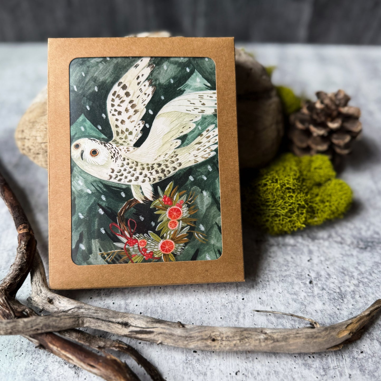 Festive Owl Cards (Boxed Card Set)