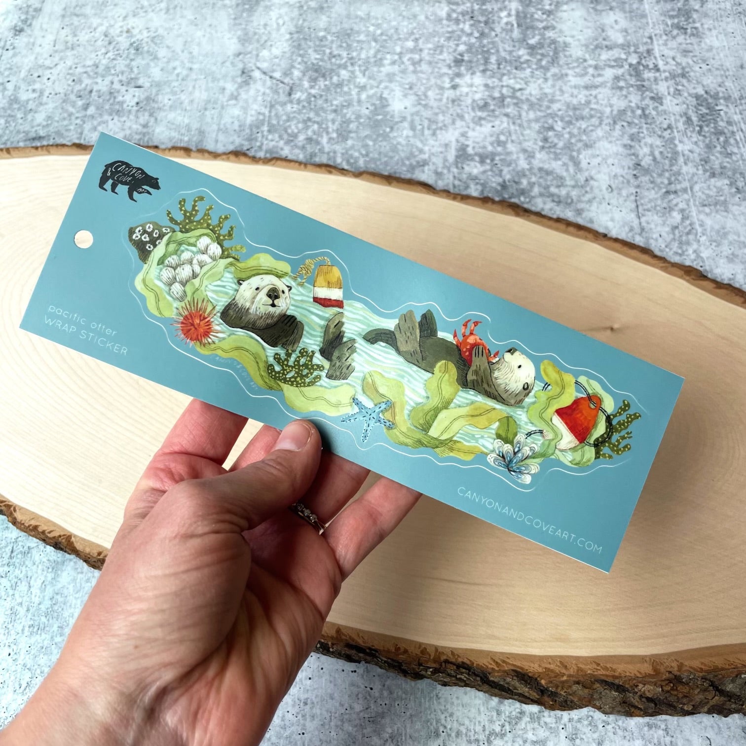 Pacific Otter Wrap Sticker