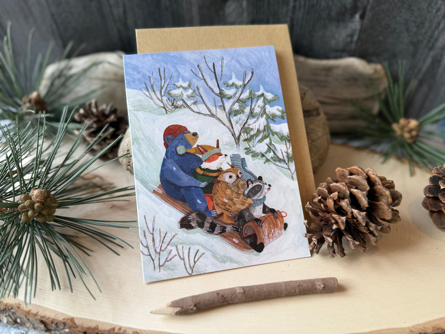 Snow Sledding Cards (Boxed Card Set)