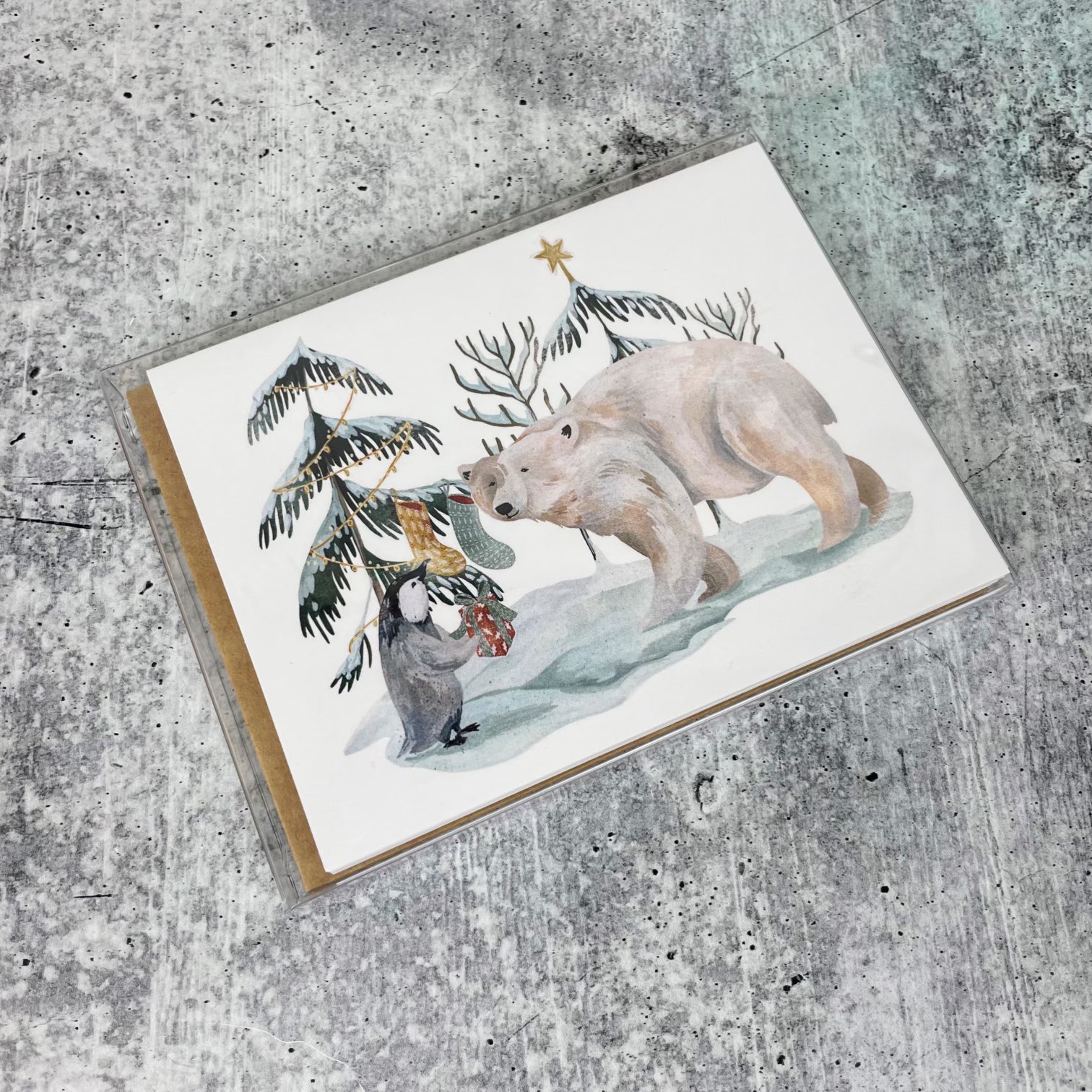 Arctic Christmas Cards (Boxed Card Set)