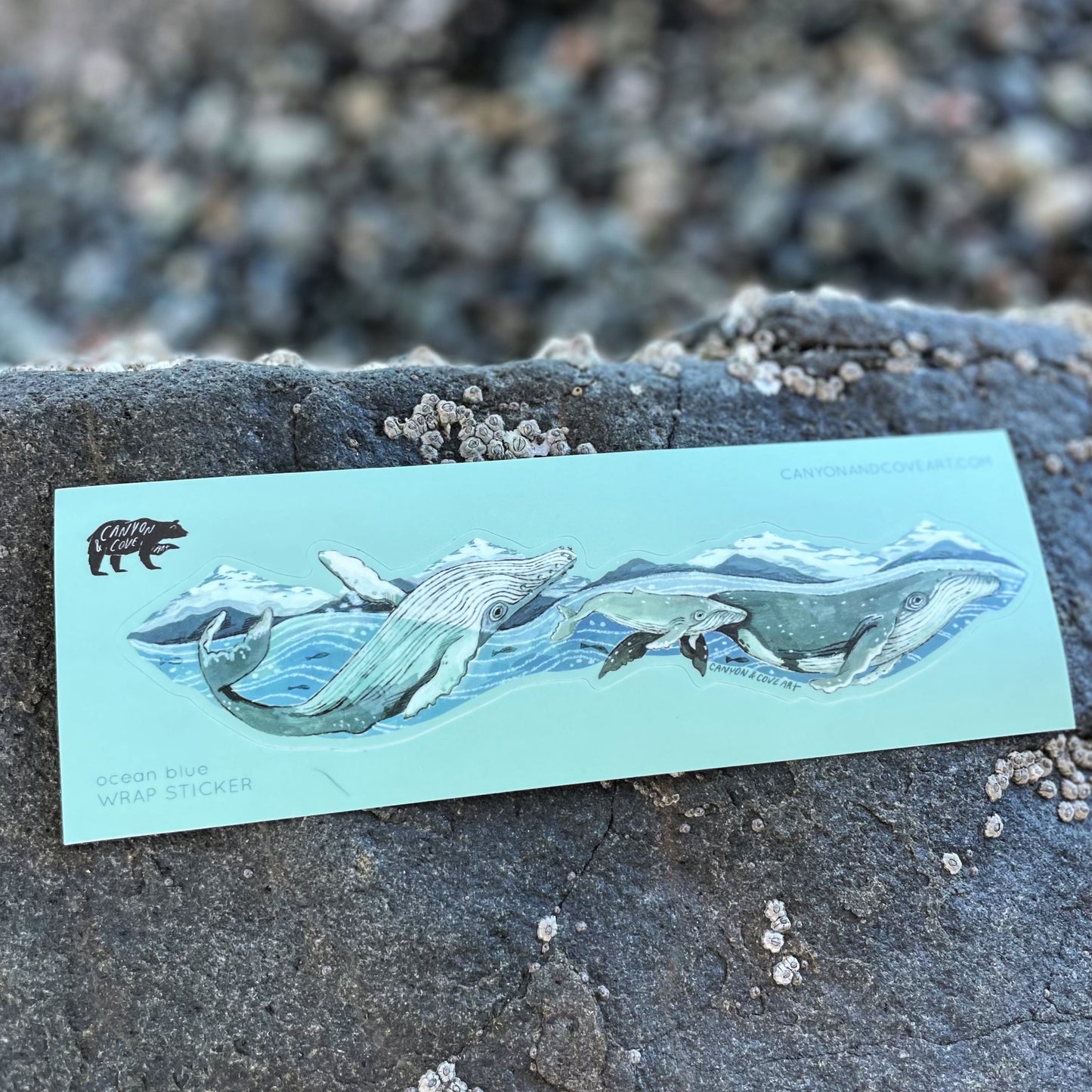 Ocean Blue Wrap Sticker