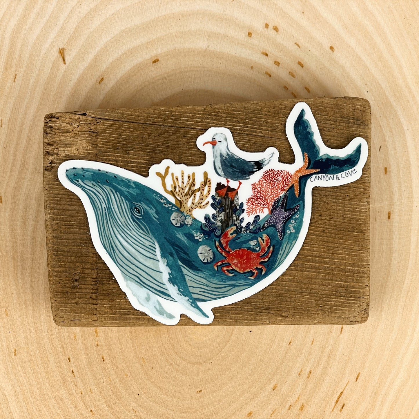 Humpback Whale Sticker