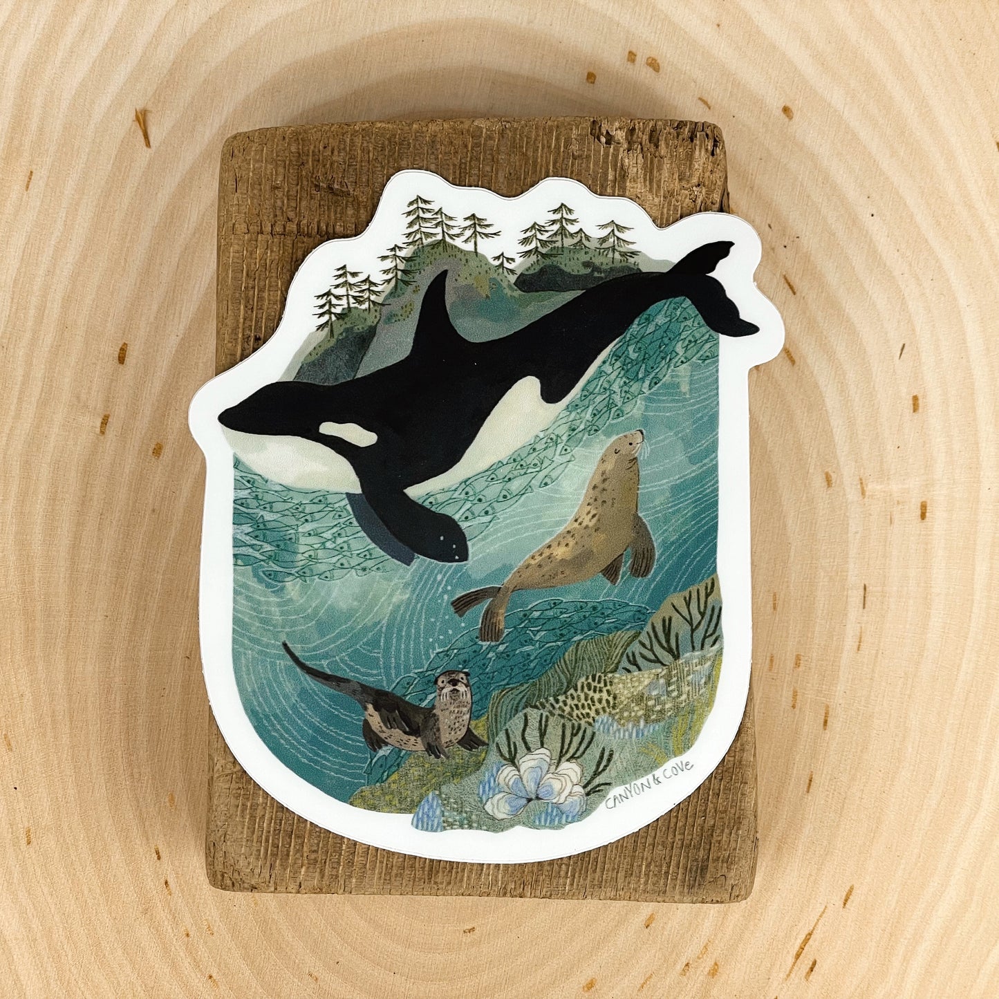 San Juan Orca Sticker