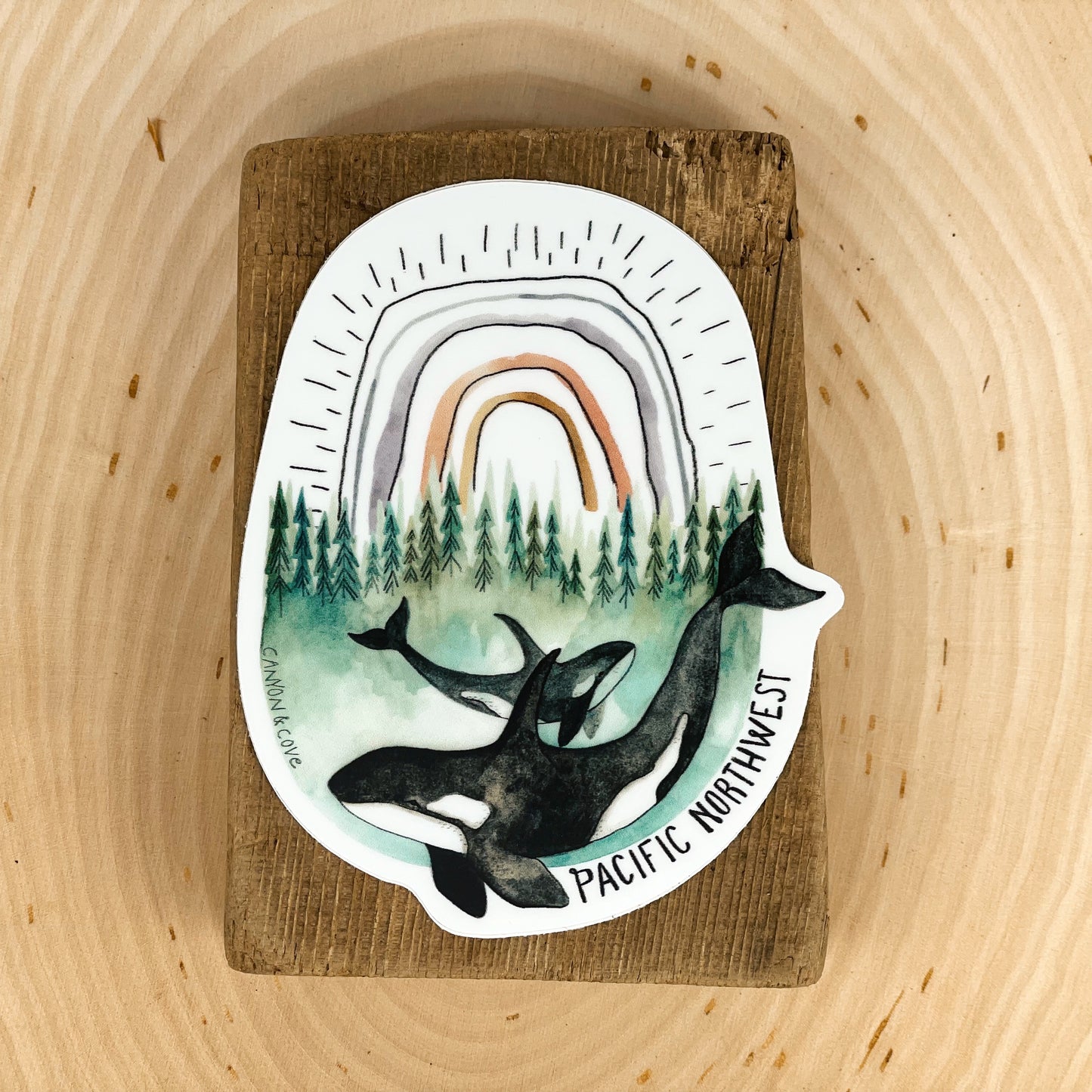 PNW Orcas Sticker