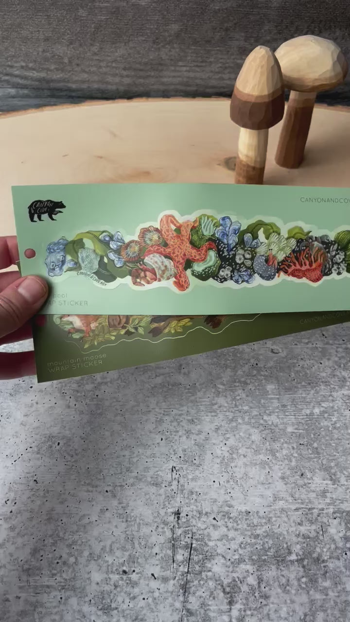 Tide Pool Wrap Sticker