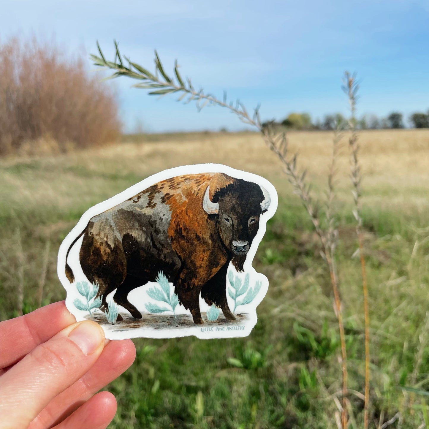 Sagebrush Bison Sticker