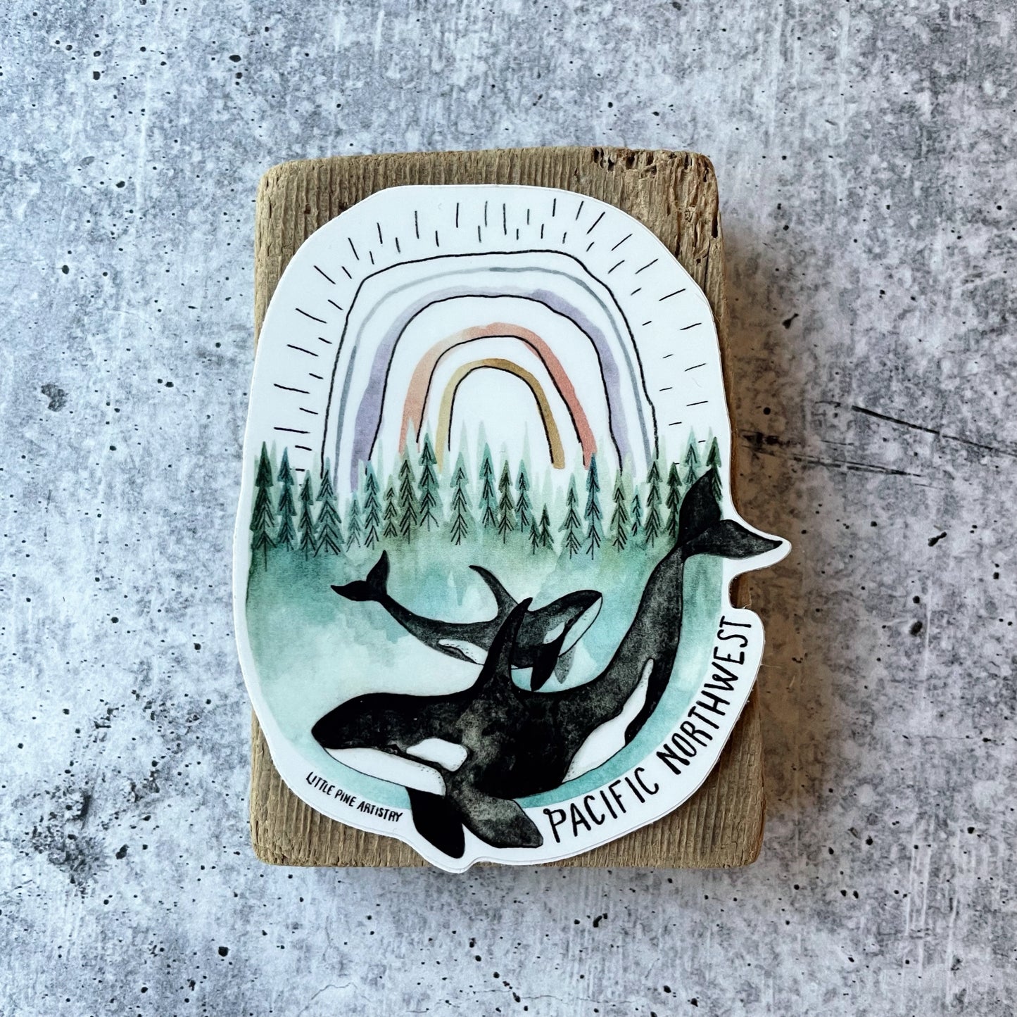 PNW Orcas Sticker