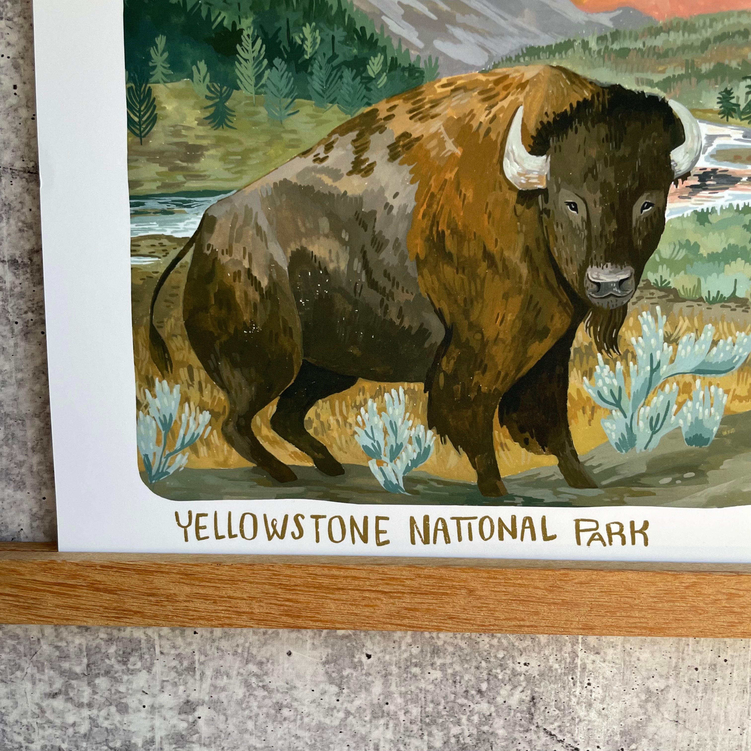 Yellowstone Bison Print (w/words)