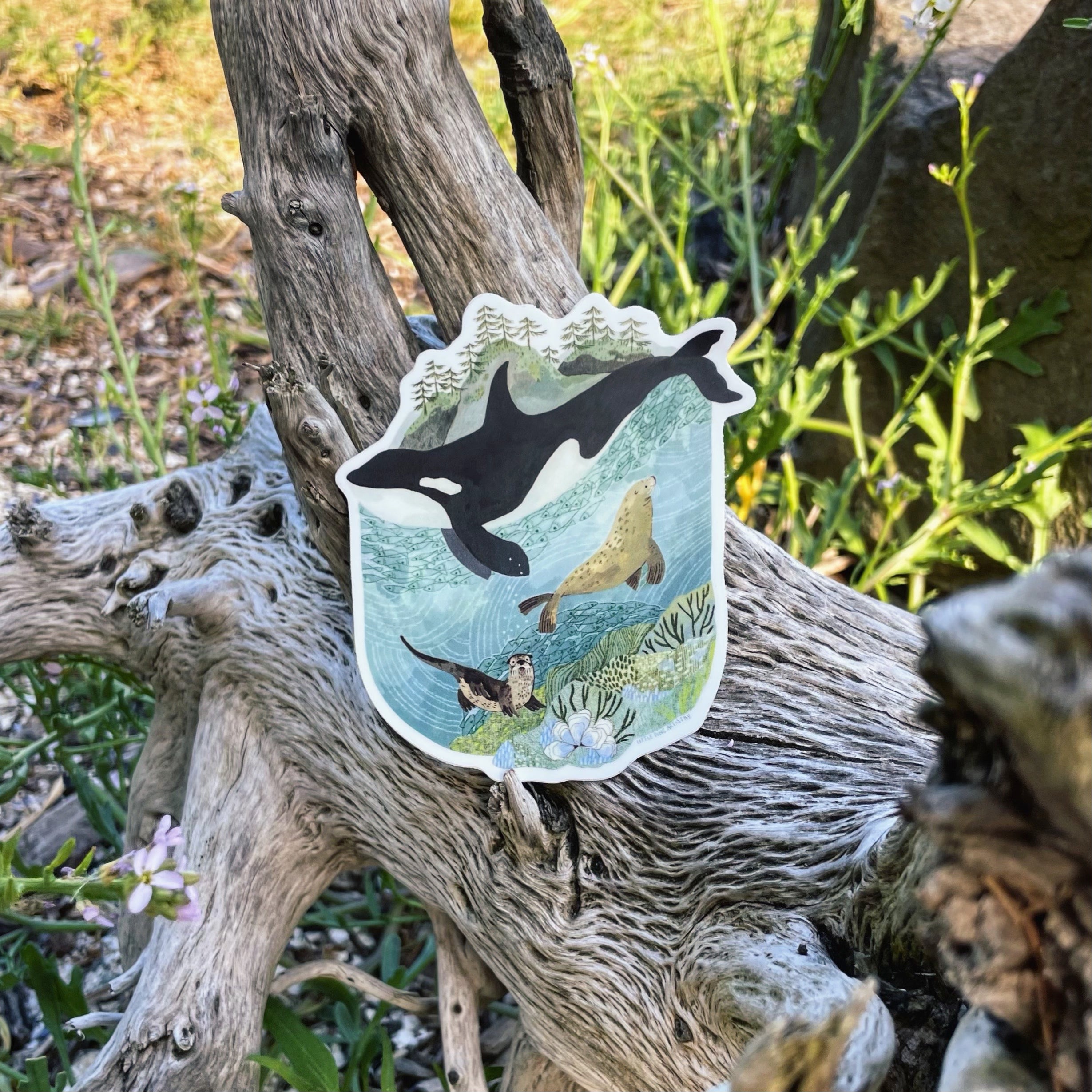 San Juan Orca Sticker