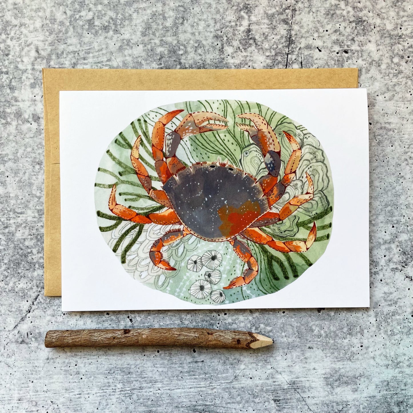 Tide Pool Crab Card