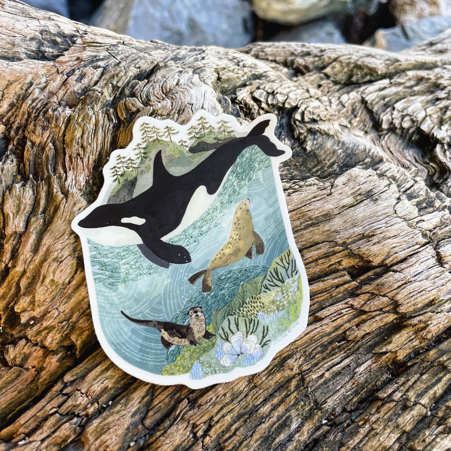 San Juan Orca Sticker